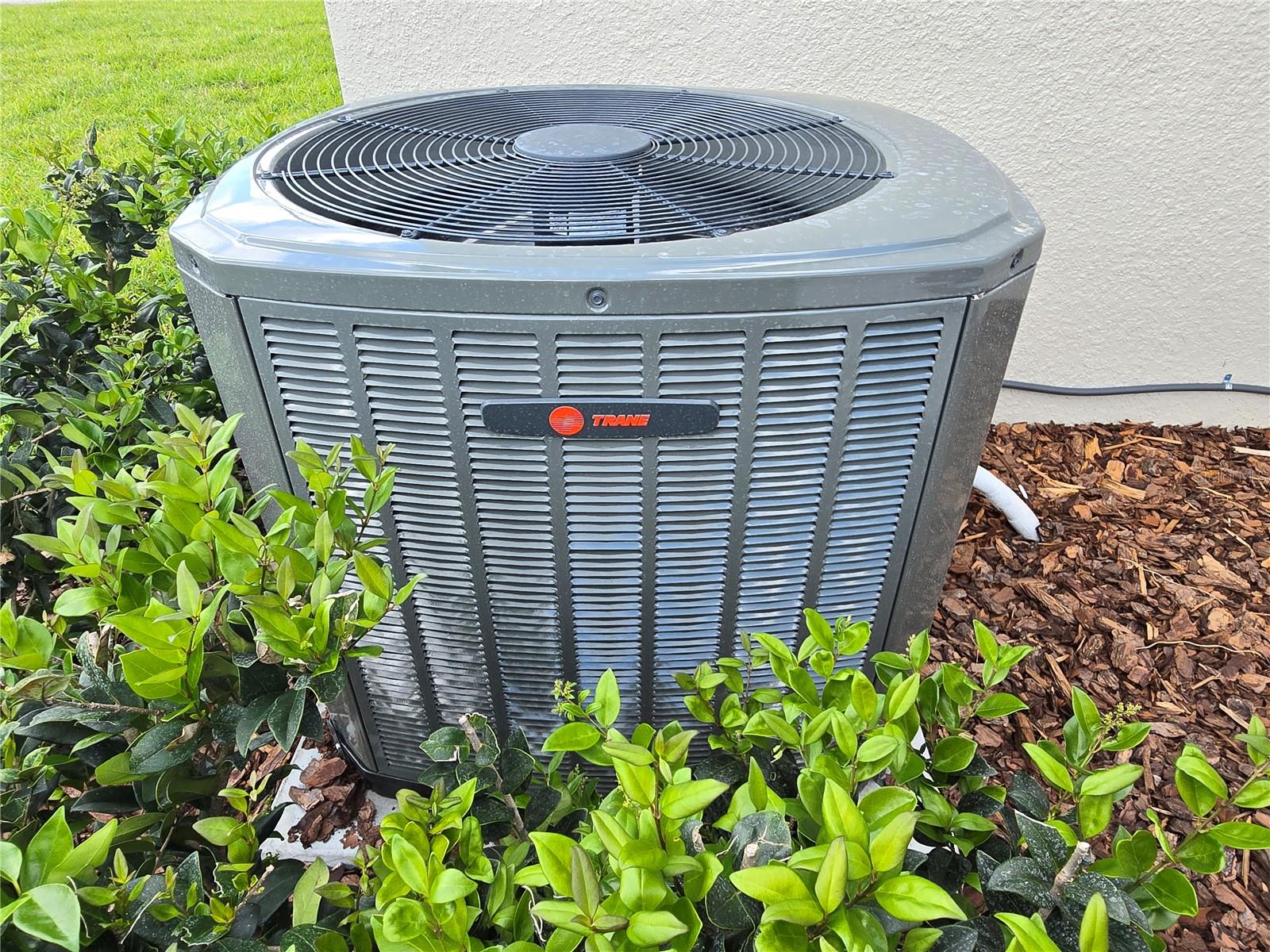 SUGARMILL WOODS OAK VILLAGE - Residential