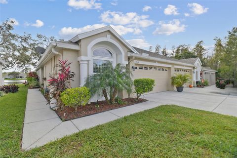 A home in LAND O LAKES