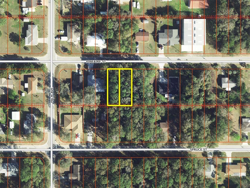Photo of 801 Pineaire Street, Inverness, FL 34452 (MLS # O6397400)