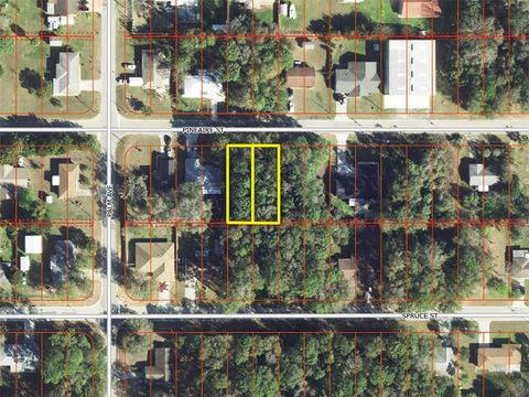 801 PINEAIRE STREET INVERNESS FL 34452