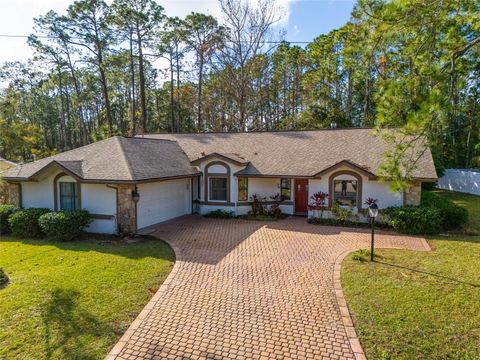 A home in PALM COAST