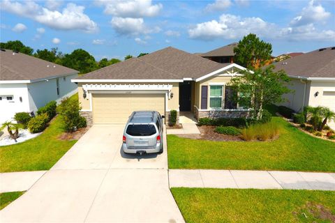13327 WATERLEAF GARDEN CIRCLE RIVERVIEW FL 33579