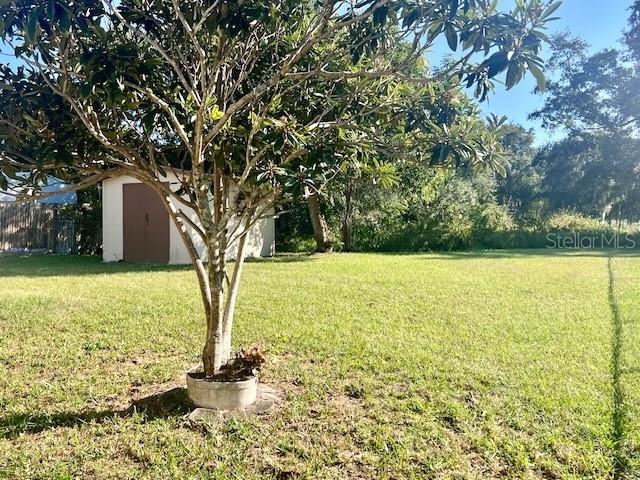 SPRINGTREE CROSSING - Residential