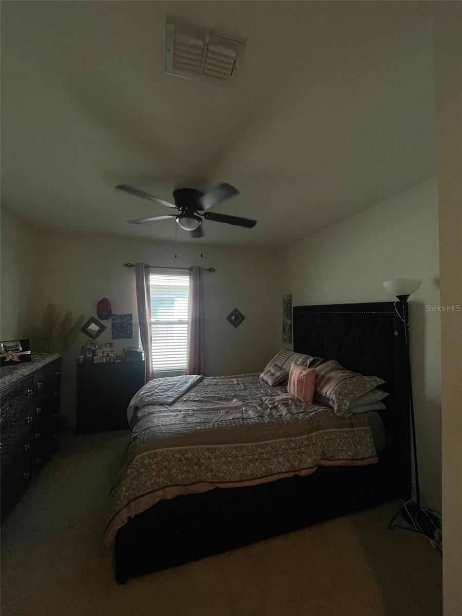 3181 SERENDIPITY WAY