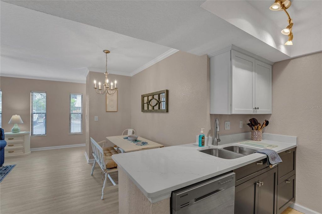 Photo of 716 Lyndhurst Street #701, Dunedin, FL 34698 (MLS # TB8474618)