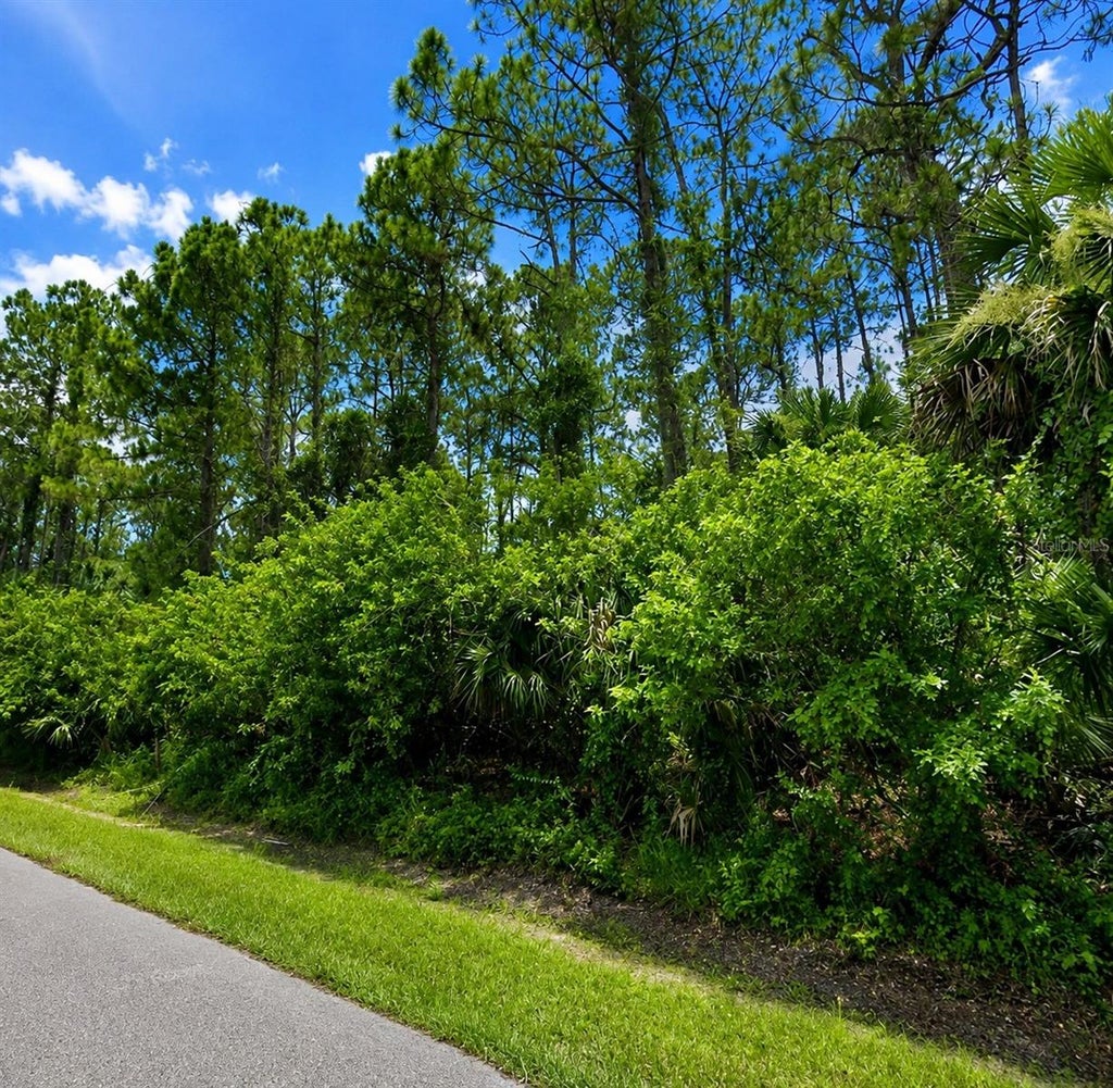 Photo of Belladonna Ave, North Port, FL 34286 (MLS # TB8544477)