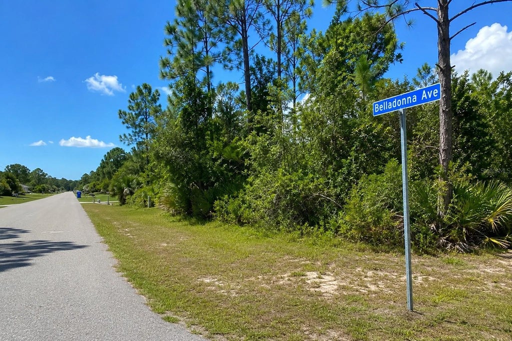 Photo of Belladonna Ave, North Port, FL 34286 (MLS # TB8544477)