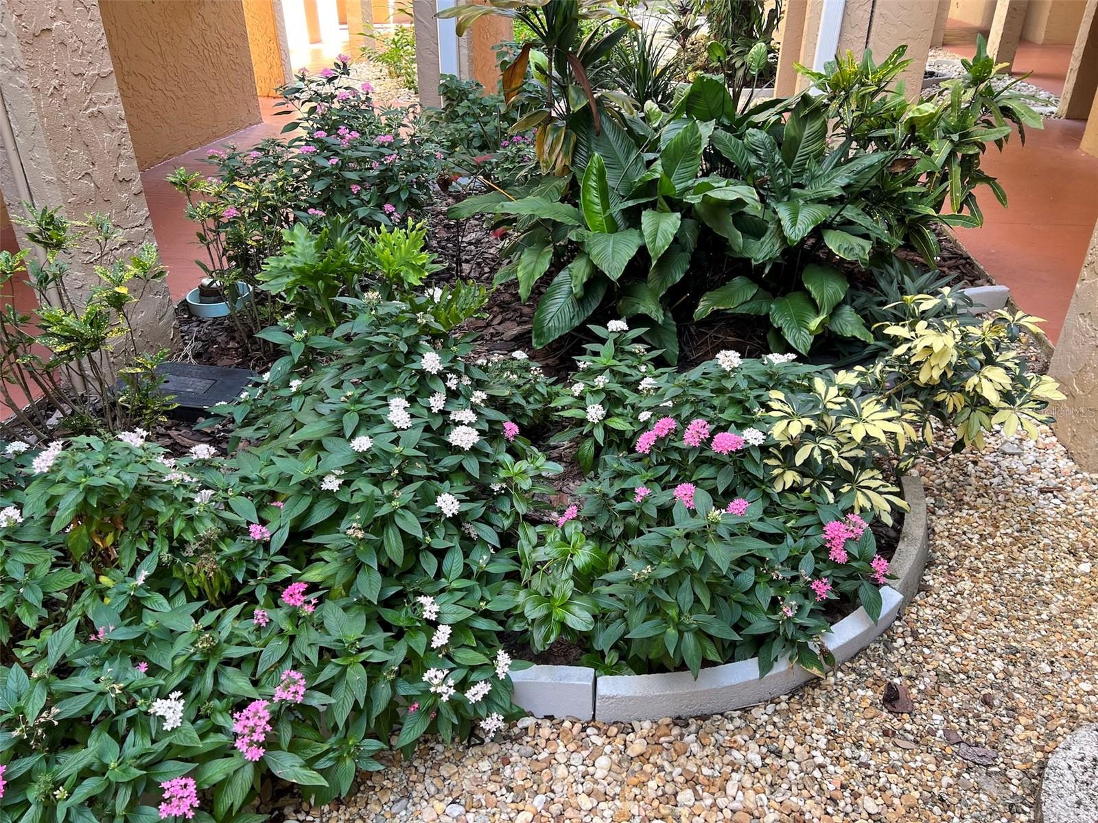 GLEN OAKS GARDEN APTS 2 - Residential