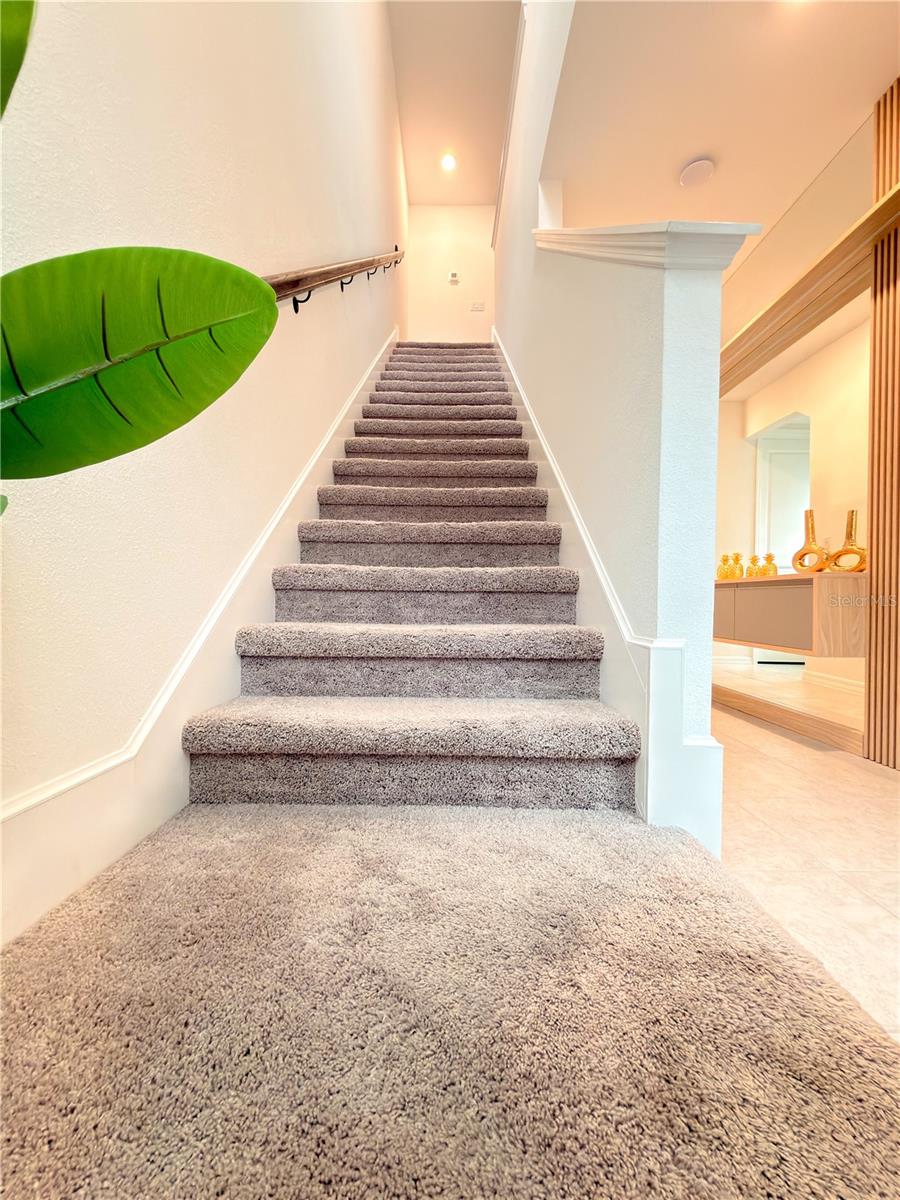 FESTIVAL PH 5 - Residential