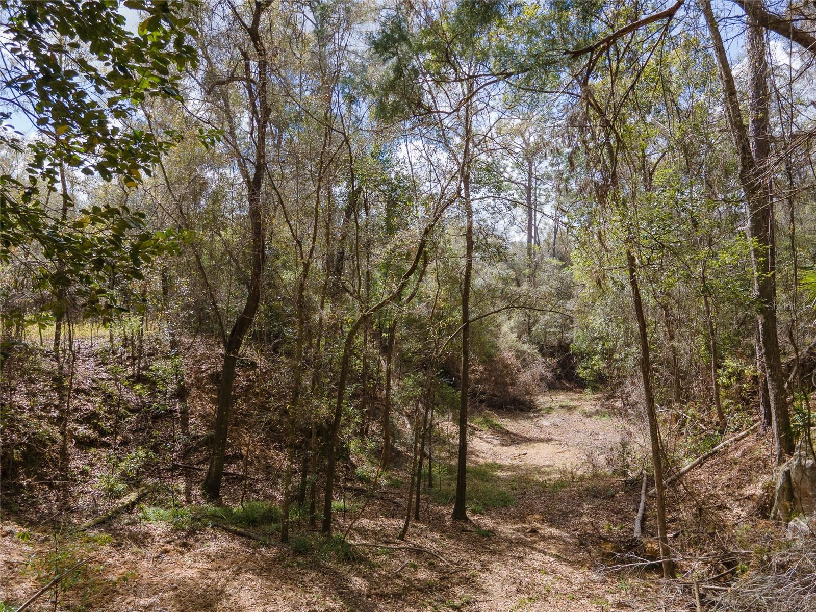 FOREST PARK UNIT 3 PH I - Residential