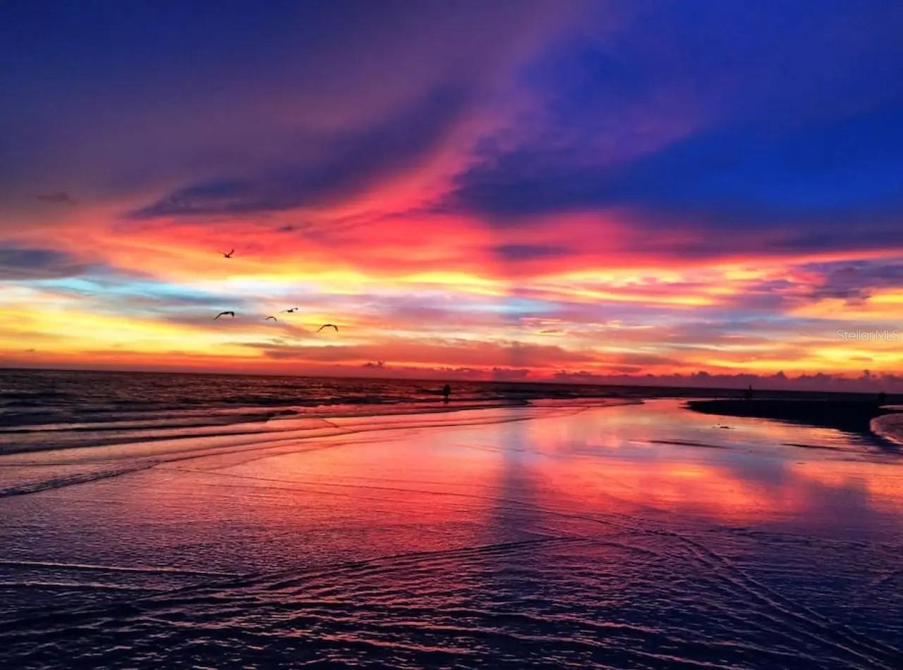 SUN HAVEN - Residential Lease