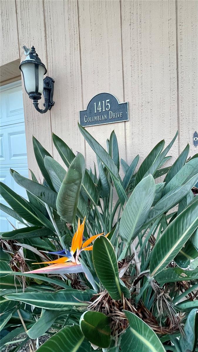 PUNTA GORDA ISLES SEC 07 - Residential