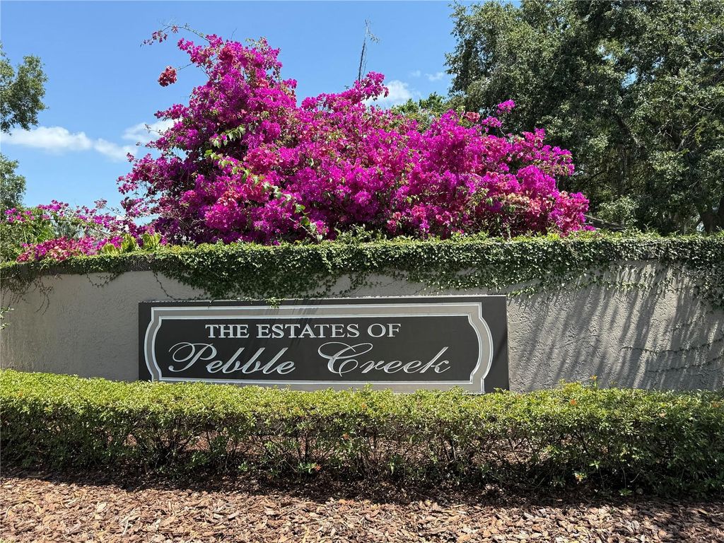 Photo of 9535 Norchester Circle, Tampa, FL 33647 (MLS # TB8383811)