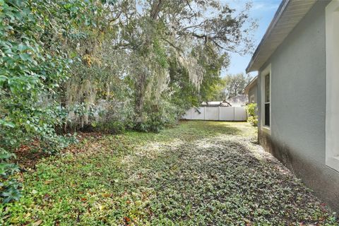 A home in DELAND