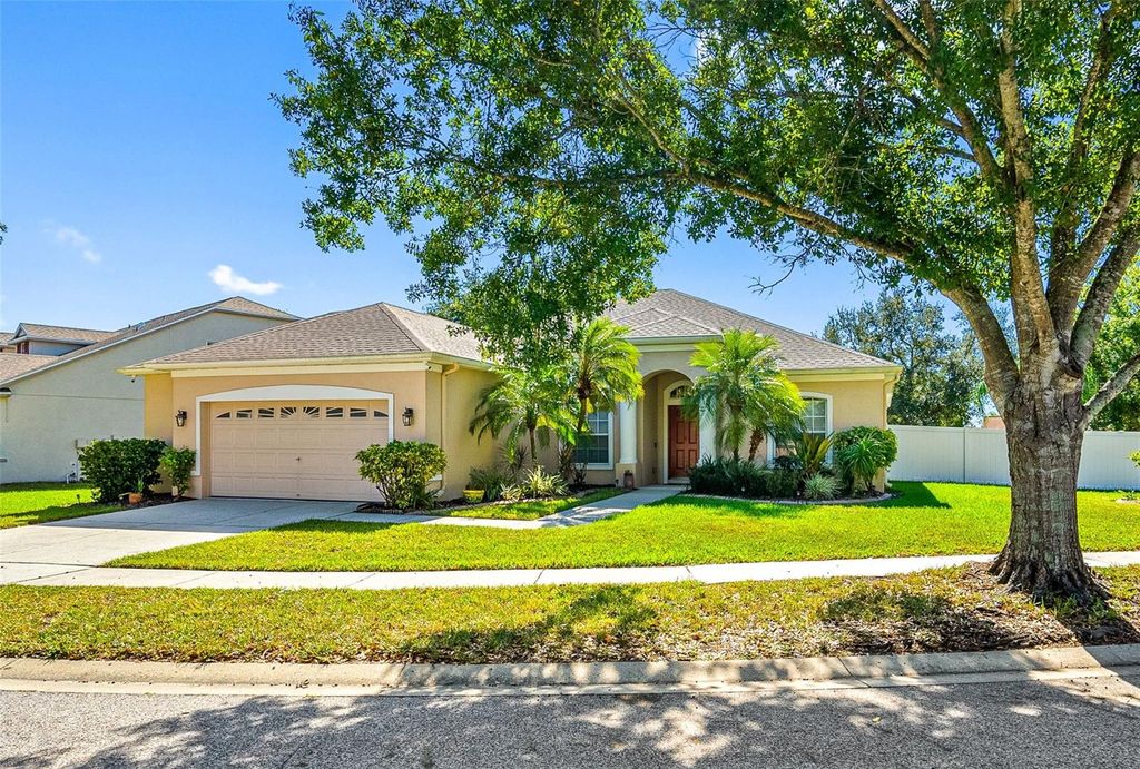 Photo of 11749 Summer Springs Drive, Riverview, FL 33579 (MLS # TB8441961)
