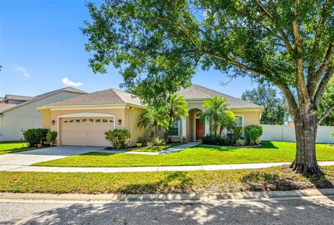 11749 SUMMER SPRINGS DRIVE RIVERVIEW FL 33579