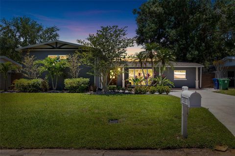4511 S HESPERIDES STREET TAMPA FL 33611