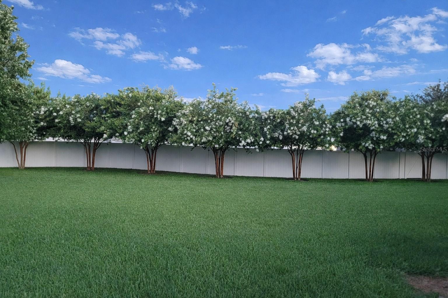 SUMMERLAKE - Residential