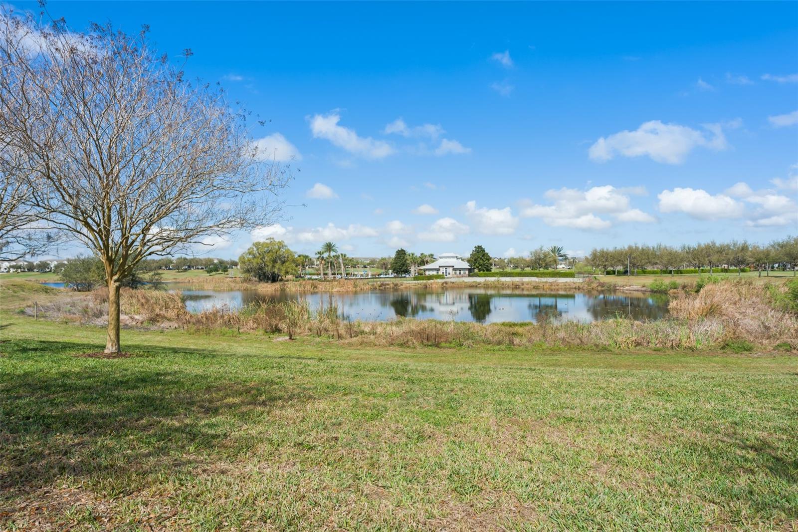 SUMMERLAKE - Residential