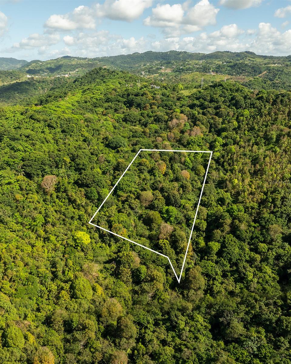 Carr 853 BO. CACAO LOTE 15