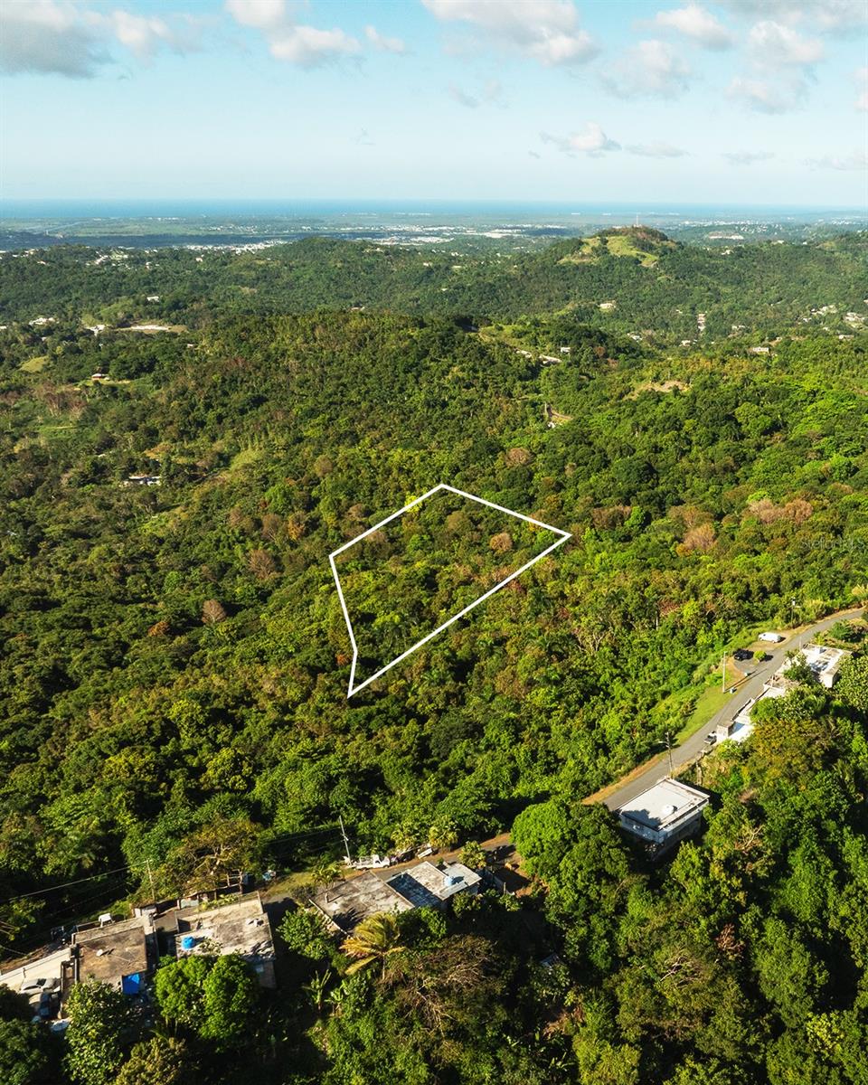 Carr 853 BO. CACAO LOTE 15