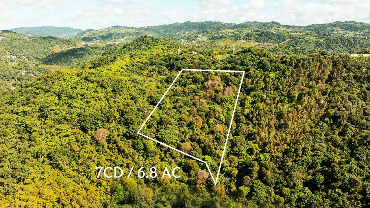 Carr 853 BO. CACAO LOTE 15