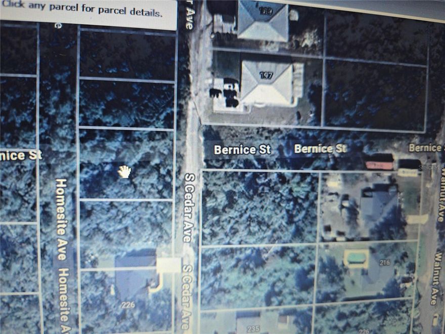 Build your dream home on this amazing, nice sized lot that is located in a USDA area and Flood Zone X. Property is buildable and ready for your plans. Quiet residential area very close to schools and Blue Springs State Park. * All information deemed to be accurate but is not guaranteed. Buyer and Buyer's agent to do their own due diligence