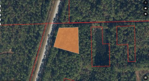Photo of Sr 19, Palatka, FL 32177 (MLS # NS1087305)