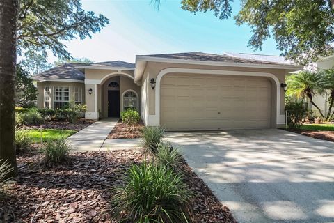 Photo of 17765 Oak Bridge Street, Tampa, FL 33647 (MLS # TB8528294)