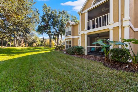 A home in TAMPA