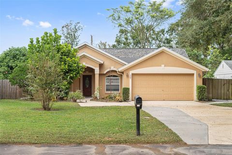 A home in ORLANDO