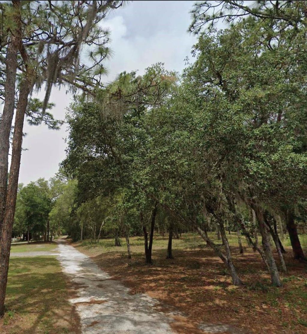 Photo of 1163 E Canvas Lane, Hernando, FL 34442 (MLS # O6375675)