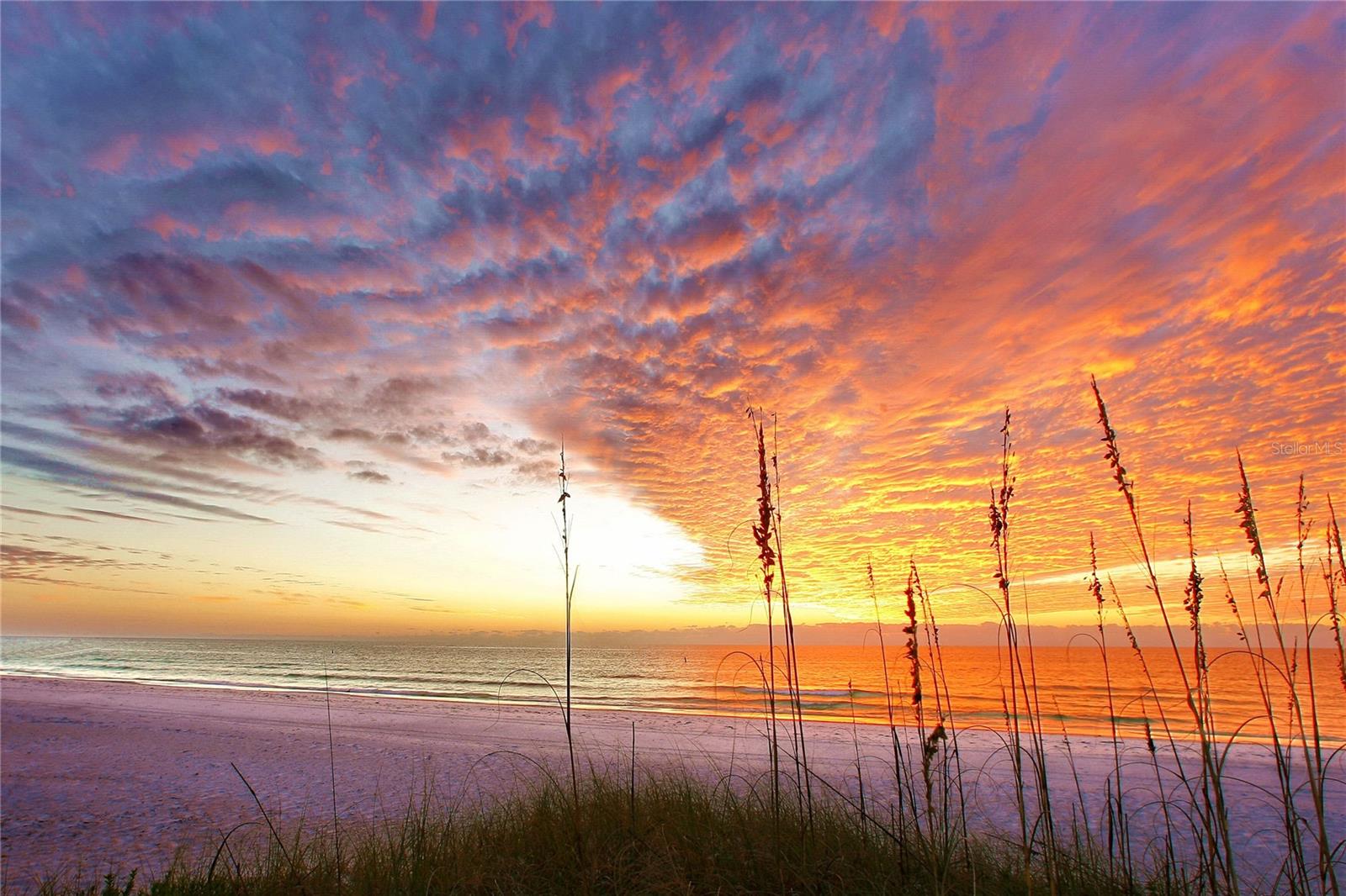 SARASOTA BEACH - Residential