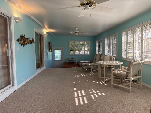 DORA PINES SUB - Residential