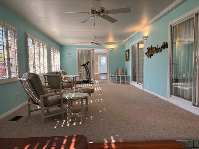 DORA PINES SUB - Residential