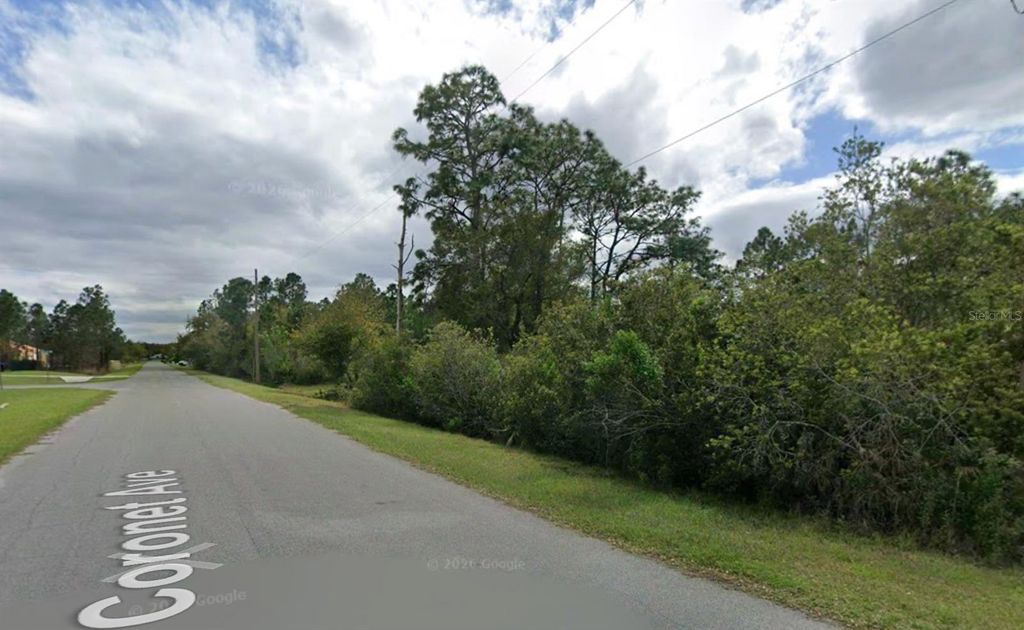 Photo of Coronet Avenue, Orlando, FL 32833 (MLS # O6402064)