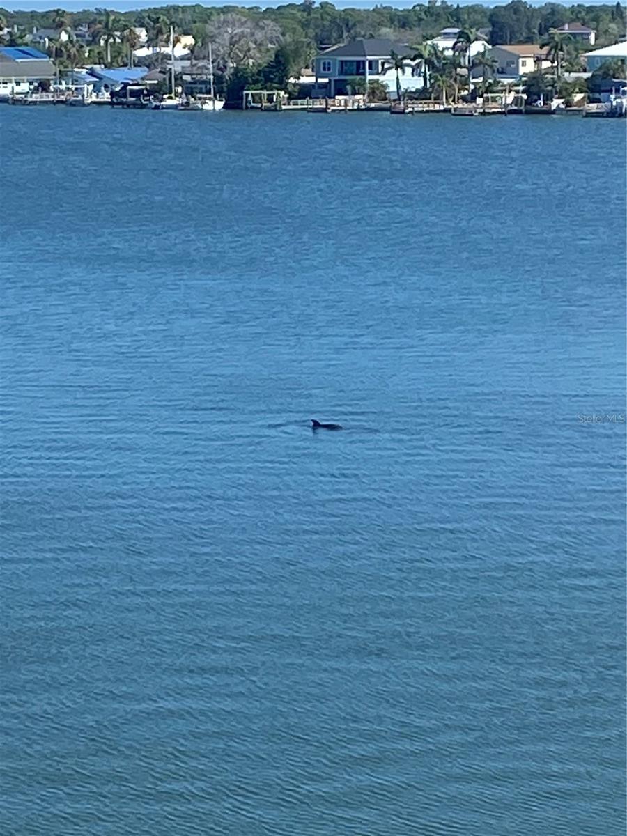 LAS BRISAS CONDO - Residential