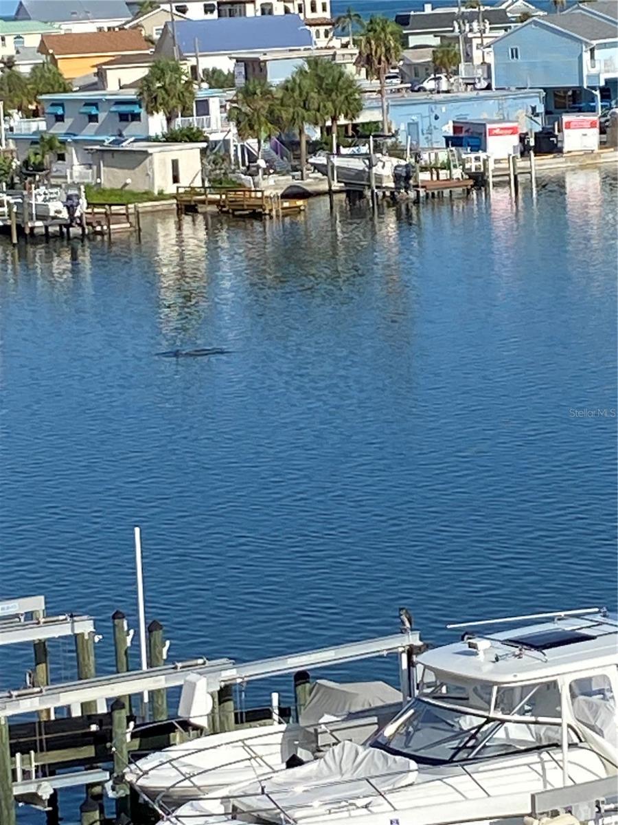 LAS BRISAS CONDO - Residential