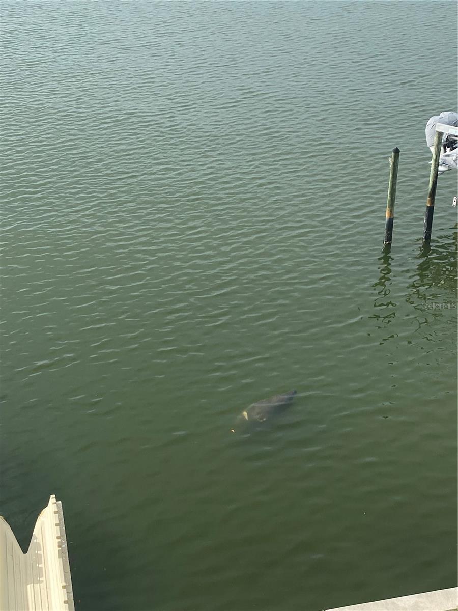 LAS BRISAS CONDO - Residential