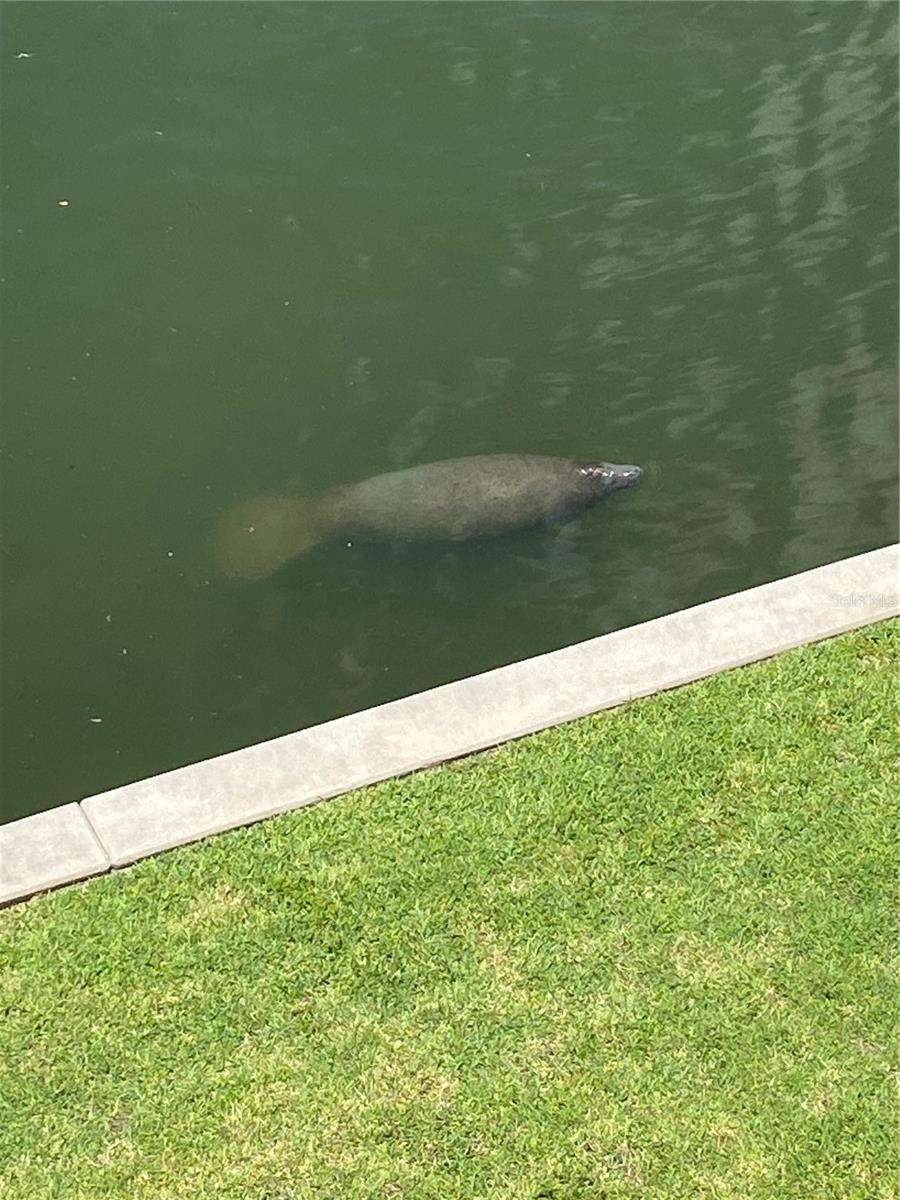 LAS BRISAS CONDO - Residential