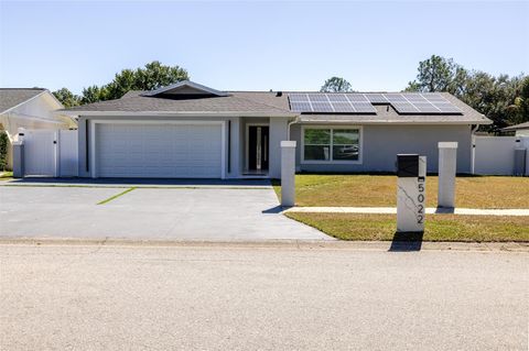 5022 LANDSMAN AVENUE TAMPA FL 33625