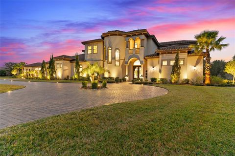 12405 STONELAKE RANCH BOULEVARD THONOTOSASSA FL 33592