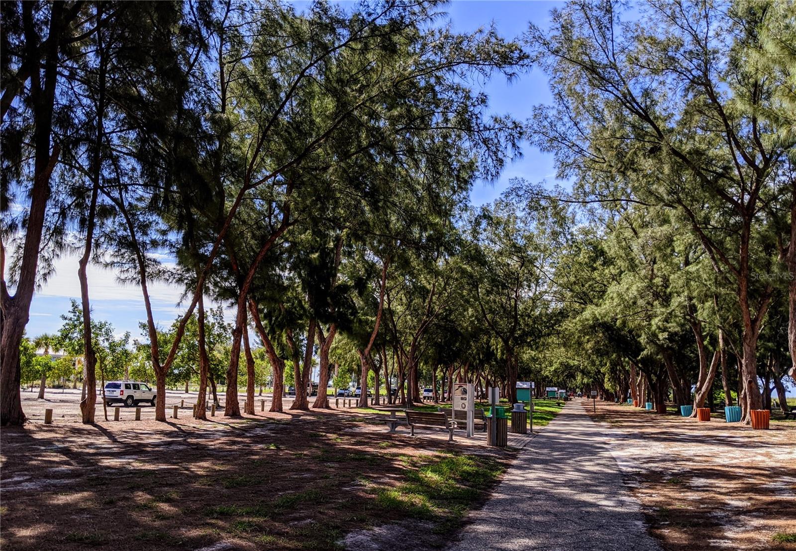 BAYSHORE ON THE LAKE APTS II SEC 3 - Residential