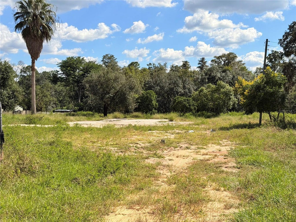 Photo of 10306 Dwights Road, Clermont, FL 34714 (MLS # O6449657)