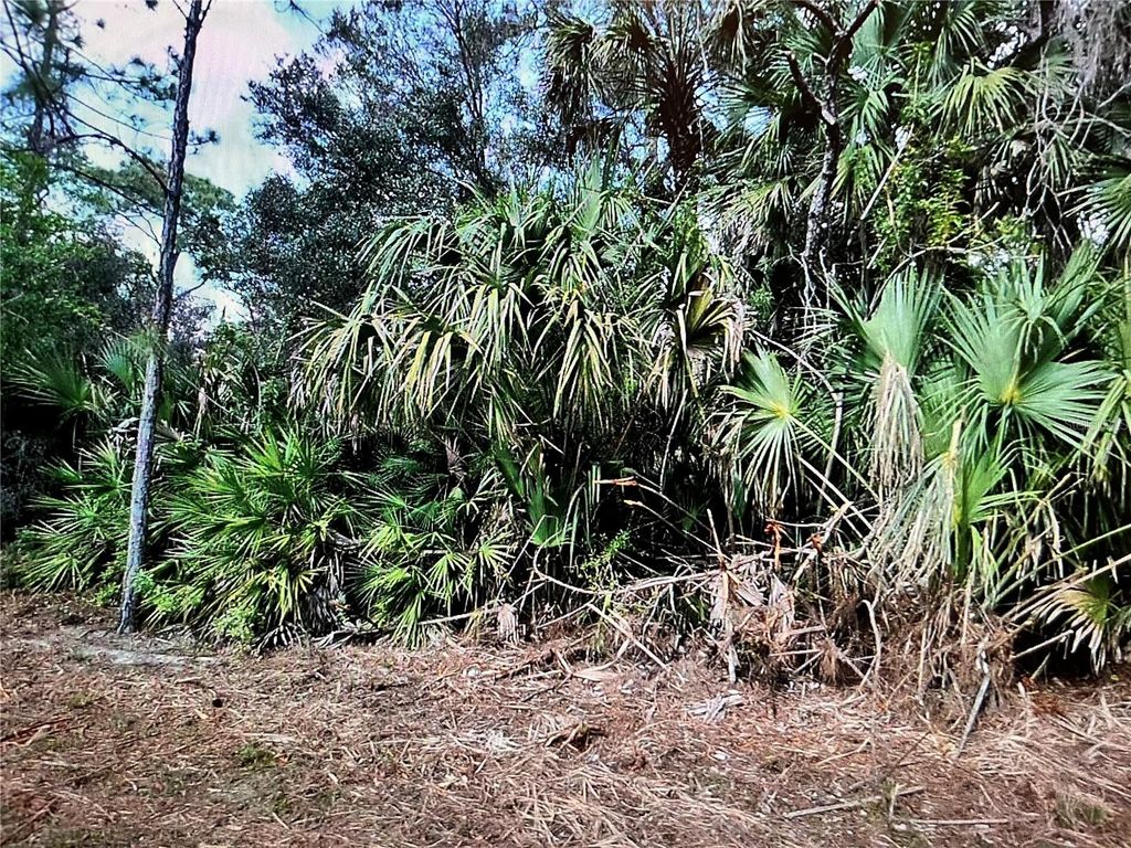 Photo of 22 Surf Avenue, North Port, FL 34291 (MLS # N6135875)