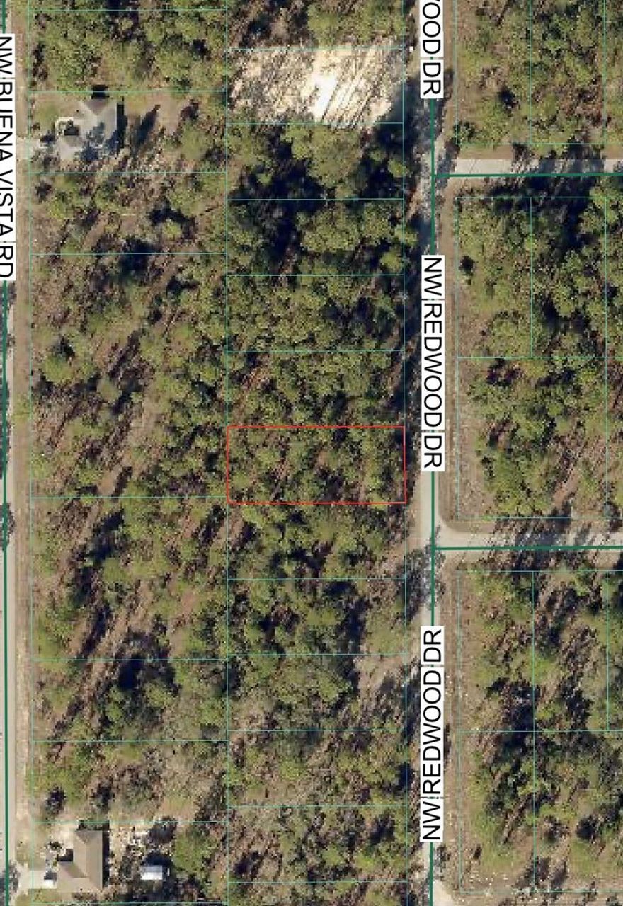 Build your home on this beautiful wooded R1-zoned lot in Dunnellon! Nestled in a peaceful setting, this property offers the perfect blend of privacy and natural surroundings while still being conveniently located near local amenities, shopping, and outdoor recreation. With plenty of mature trees, you can design your ideal homesite while maintaining the charm and shade of Florida’s natural landscape. Zoned for site-built homes, this property is ready for your vision—whether you’re looking to build now or invest for the future. Don’t miss this opportunity to own a slice of Florida living!