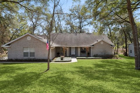 Photo of 30768 Prestwick Avenue, Sorrento, FL 32776 (MLS # O6384873)