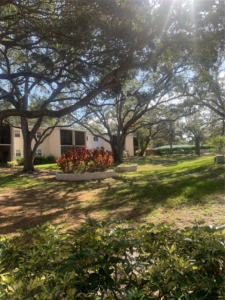 PATRICIAN OAKS - Residential