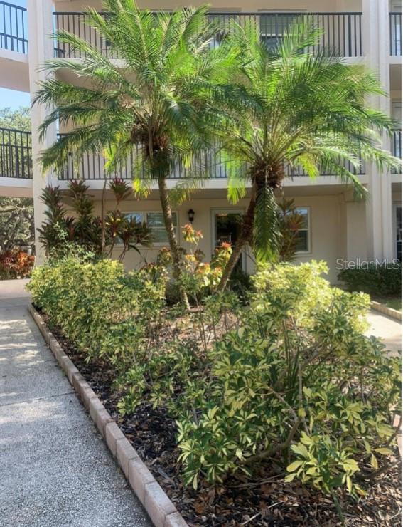 PATRICIAN OAKS - Residential