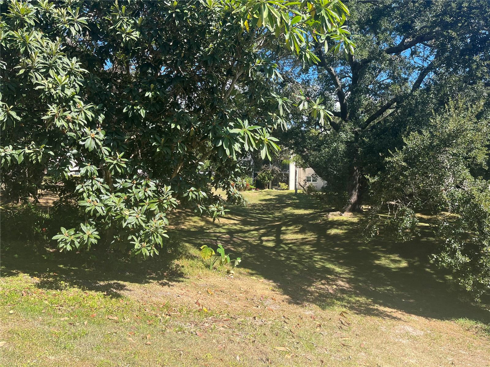 PATRICIAN OAKS - Residential